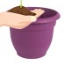 Bloem Ariana Self Watering Planter 10" Passion Fruit   564653369